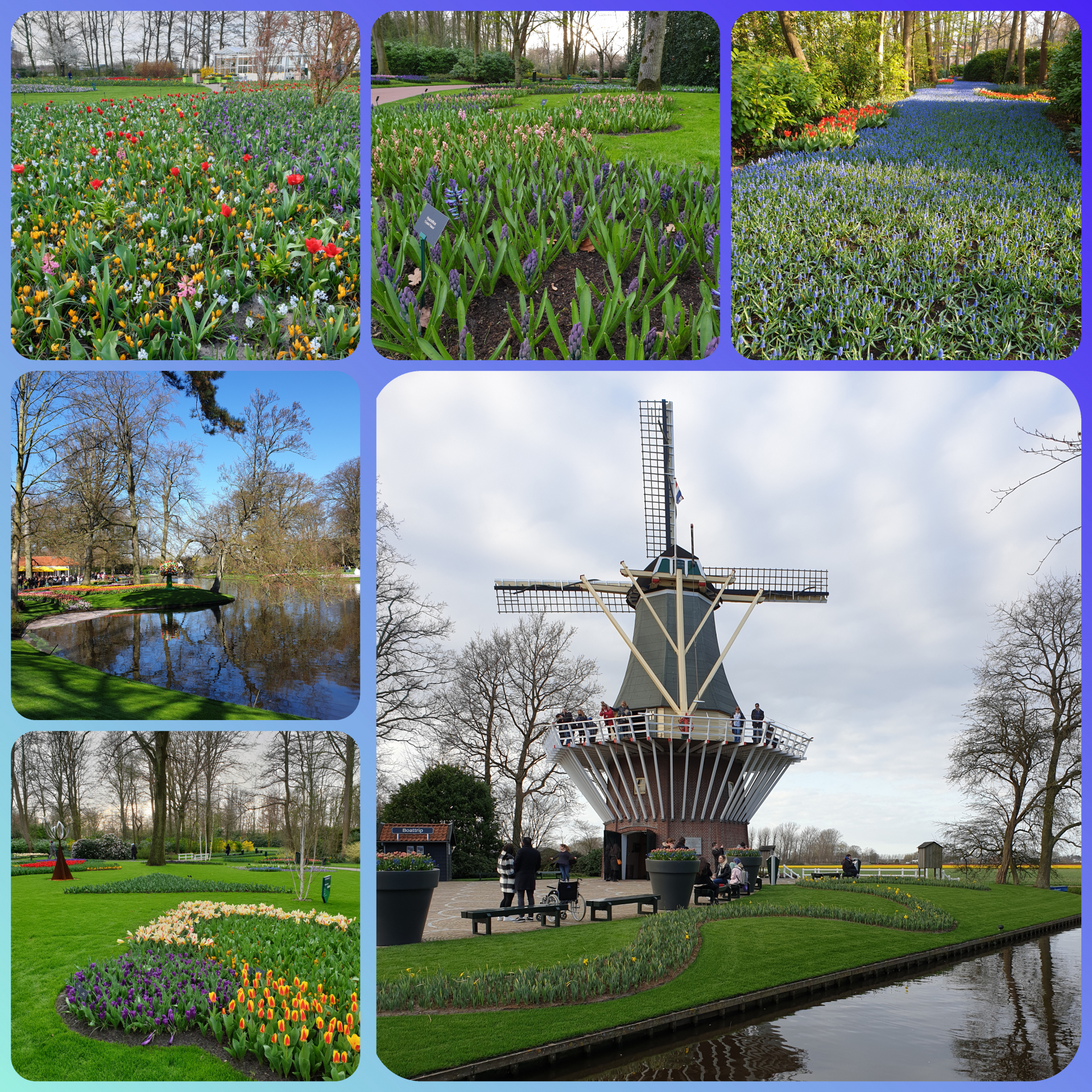 Keukenhof