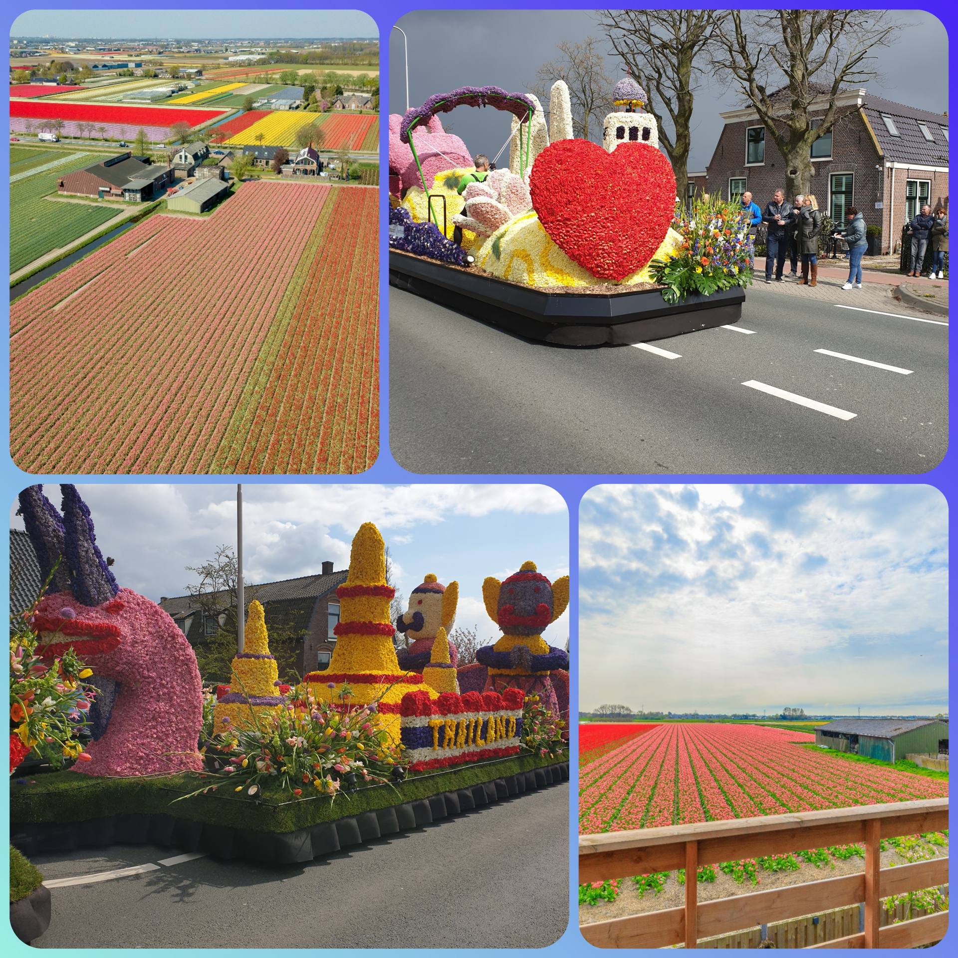 Blumenparade